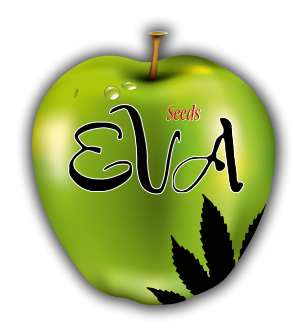 Eva Female Seeds Eva Female Seeds